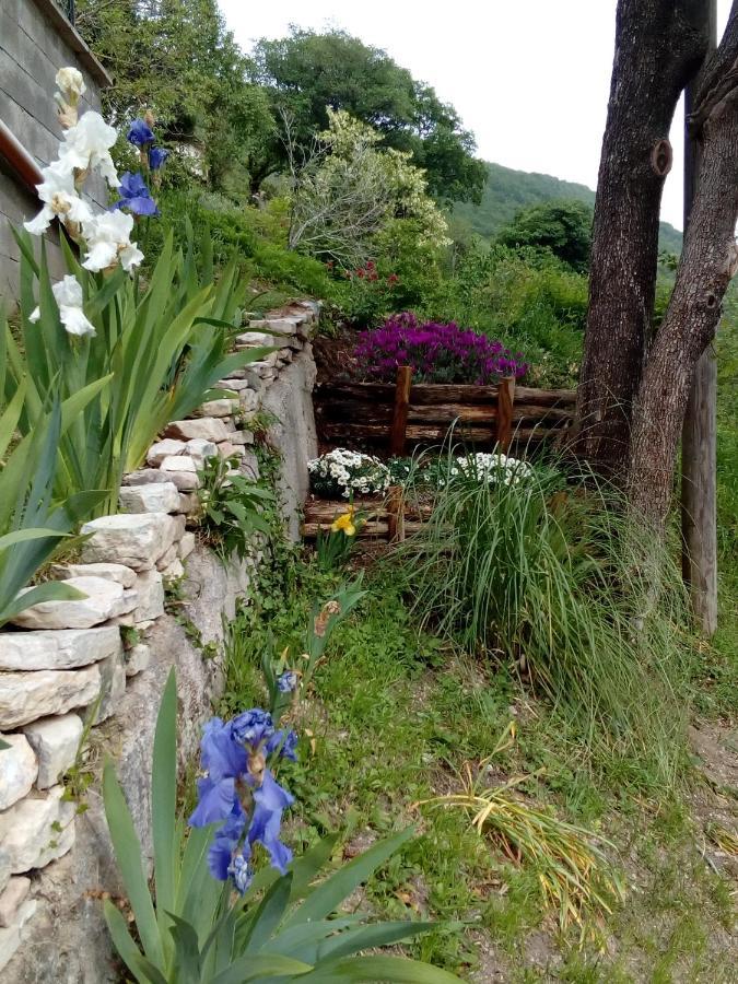 Bed & Breakfast Sentiero 54 Cantiano Exterior photo